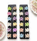 Daisy Matte Clip 2