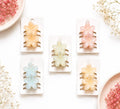 Jelly-Finish Mini Plumeria Flower Hair Clips