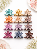 Shimmer Plumeria Claw Clips