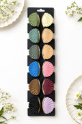 Shell Matte Hair Claw Clips - Medium