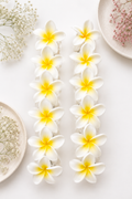 Hawaiian Flower Clips